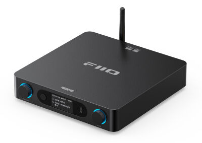 FiiO BR15 R2R (Schwarz)