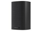 Piega Bundle Ace 30 / WiiM AMP Ultra (Schwarz/Space Grey)