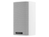 Piega Bundle Ace 30 / WiiM AMP Ultra (Weiss/Space Grey)