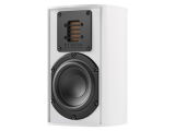 Piega Bundle Ace 30 / WiiM AMP Ultra (Weiss/Space Grey)
