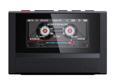FiiO Snowsky ECHO (Schwarz)