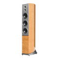 Audiovector R 10 Arreté (Canadian Birdseye Maple)