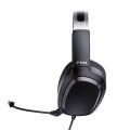 FiiO FG3 (Schwarz)